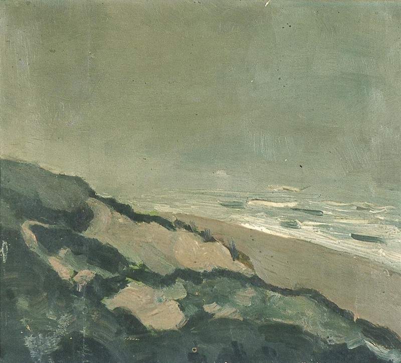 Dunes and sea — Тео ван Дусбург