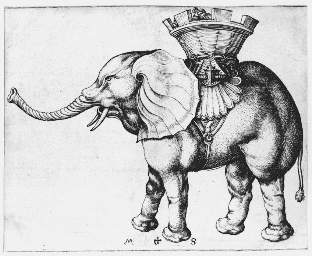 Elefant — Мартин Шонгауэр