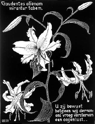 Flowers — Гвен Джон
