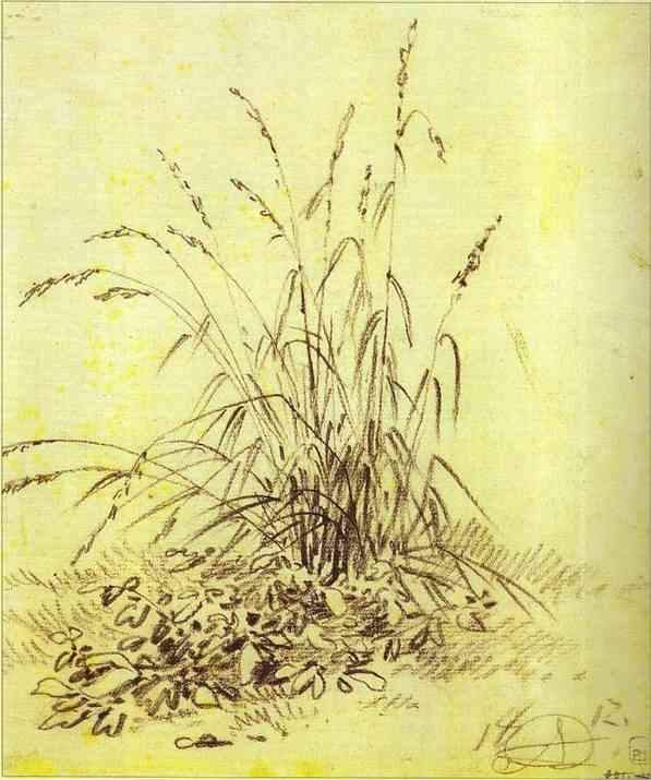Grass — Александр Орловский