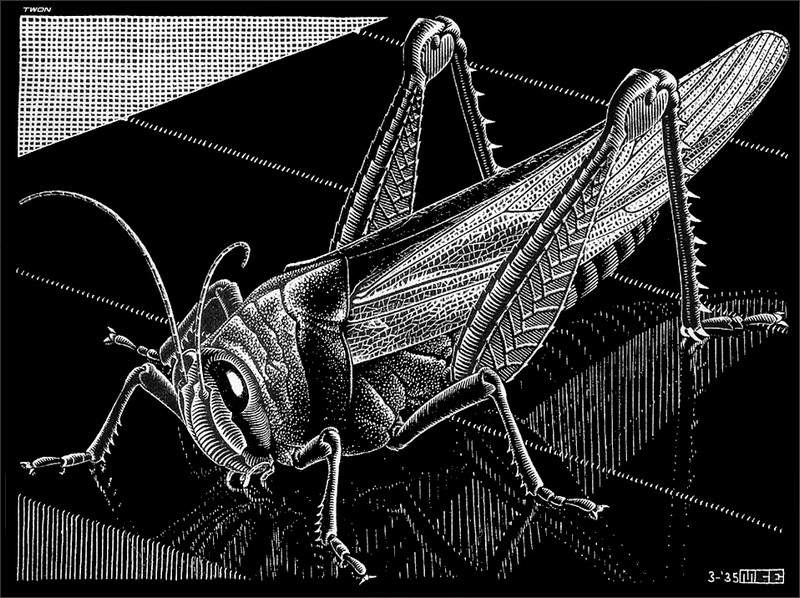 Grasshopper — Мауриц Корнелис Эшер