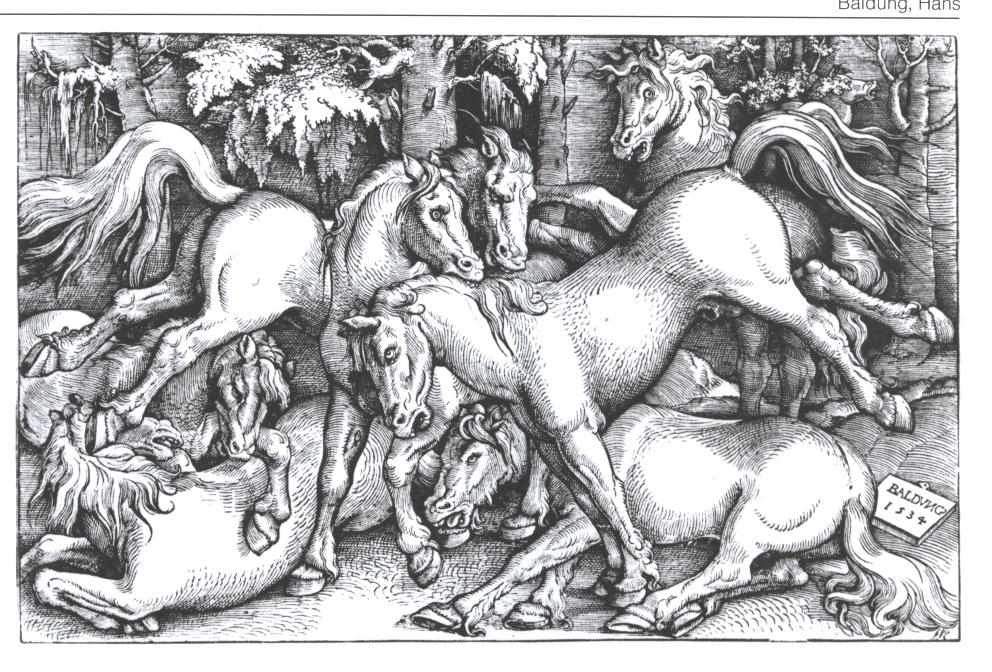 Семь дерущихся диких лошадей — Ханс Бальдунг