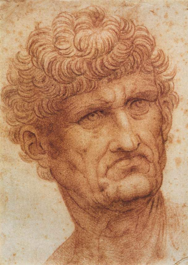 Head of a Man — Леонардо да Винчи