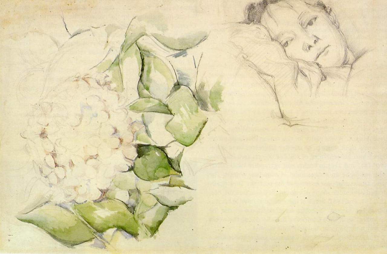 Madame Cezanne with Hortensias — Поль Сезанн