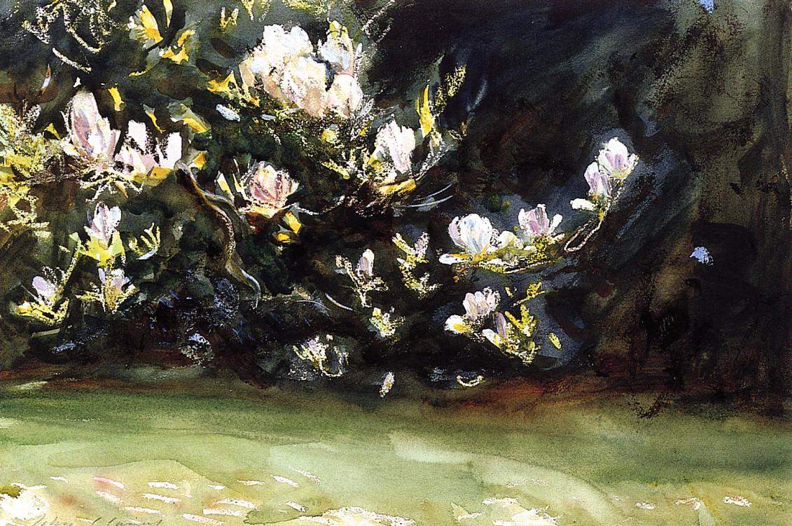 Magnolias — Джон Сингер Сарджент