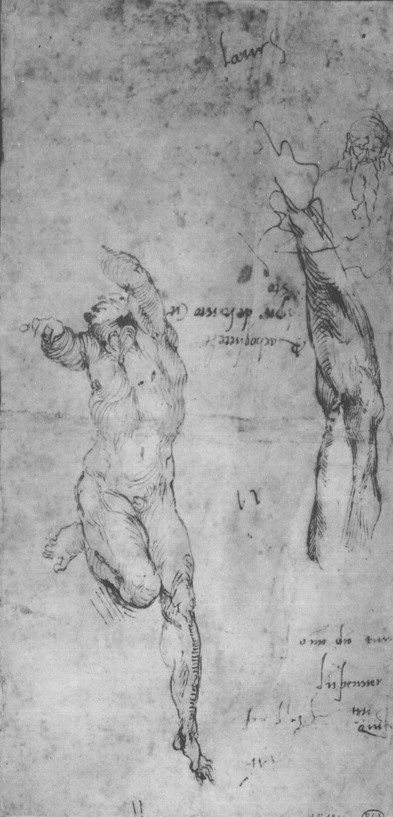 Male nude and arm of bearded man — Микеланджело
