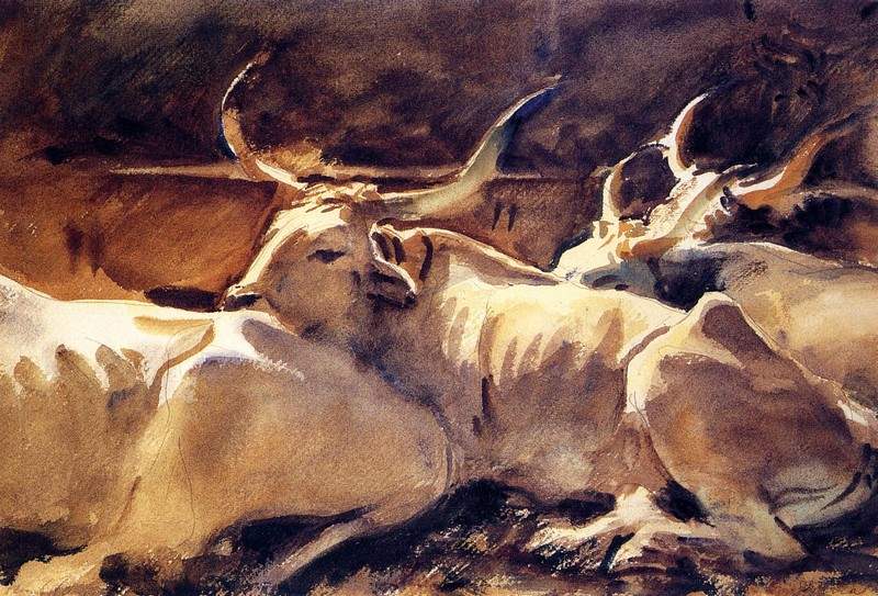 Oxen in Repose — Джон Сингер Сарджент