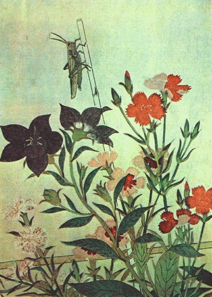 Rice Locust Red Dragonfly Pinks Chinese Bell Flowers — Китагава Утамаро