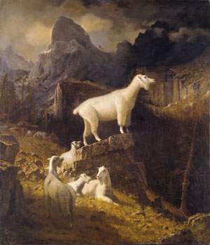 Rocky Mountain Goats — Альберт Бирштадт