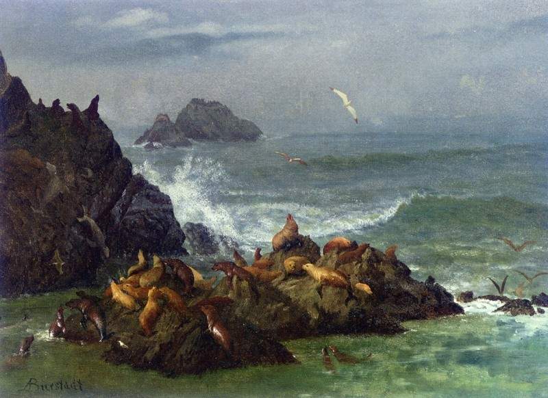 Seal Rocks, Pacific Ocean, California — Альберт Бирштадт