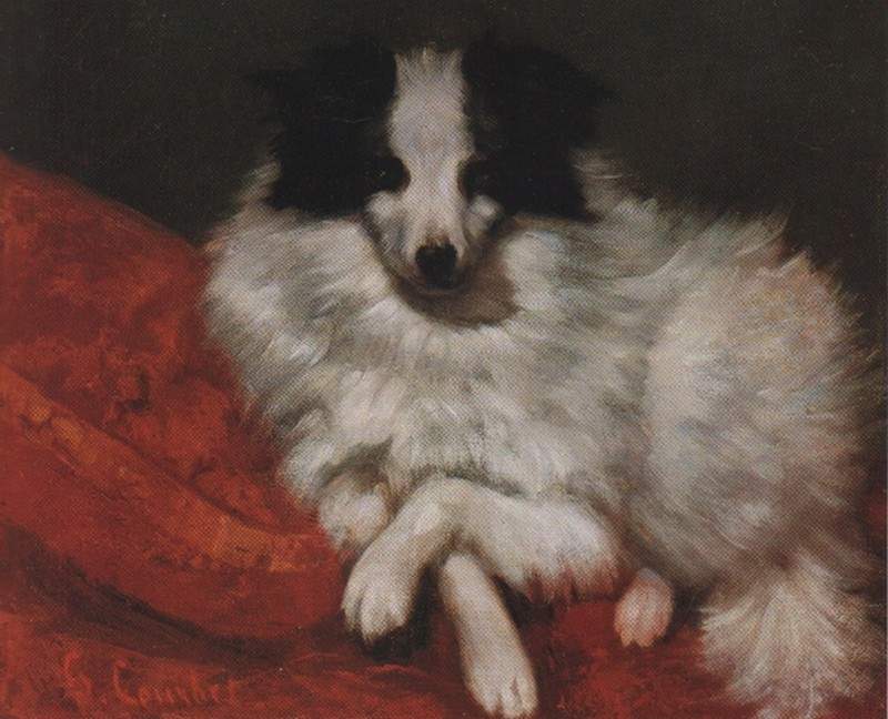 Собака на подушке — Гюстав Курбе