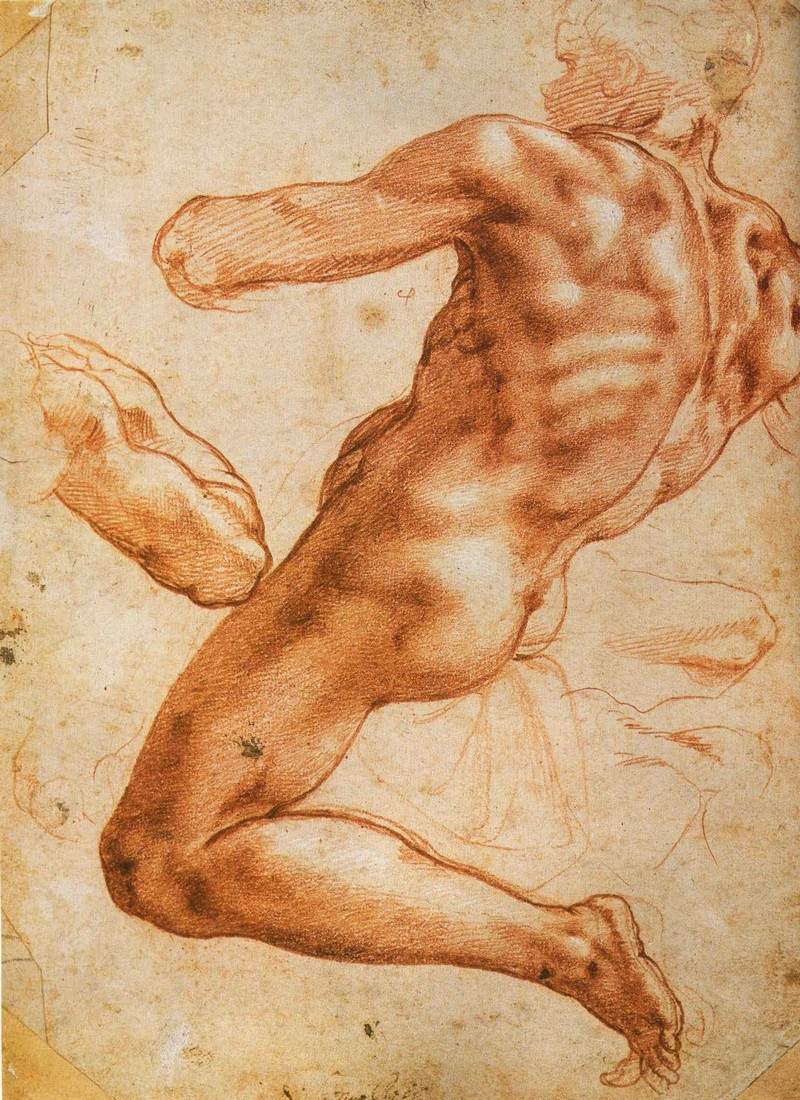 Study for an ignudo — Микеланджело