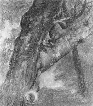 Study of a Tree — Альберт Бирштадт