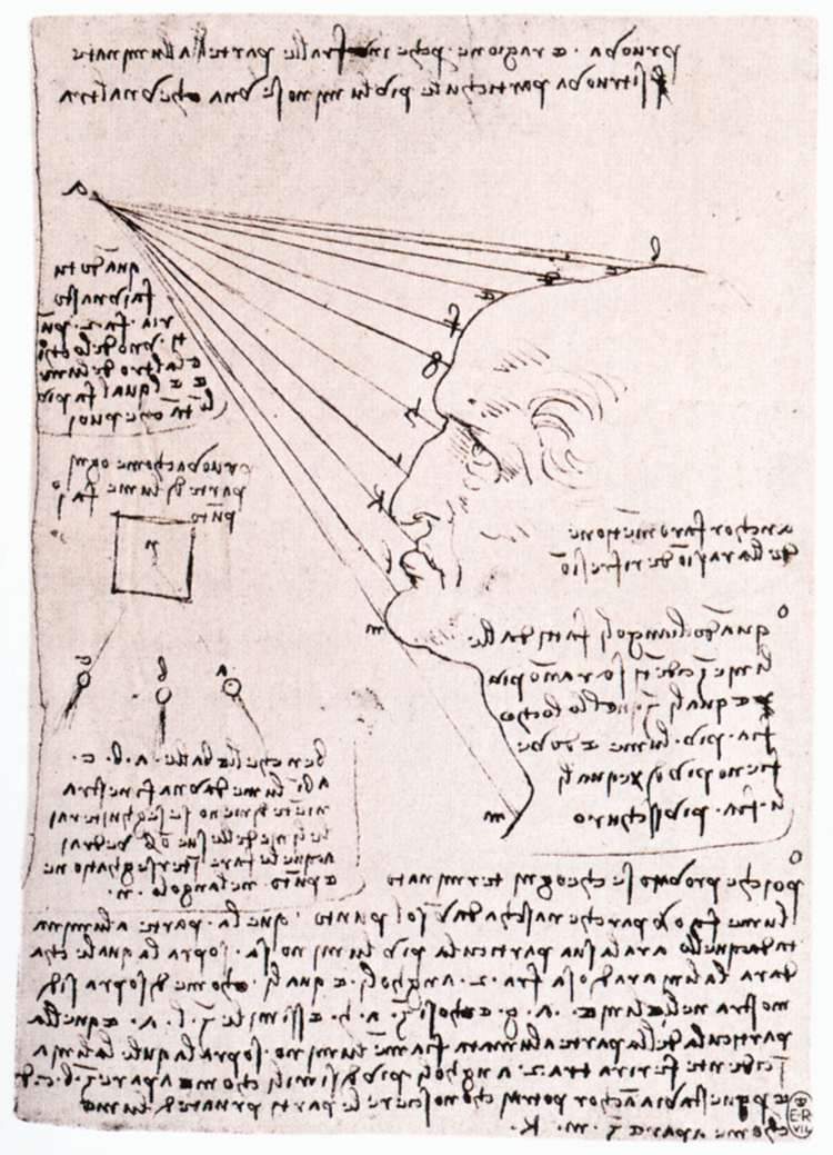 Study of the effect of light on a profile head (facsimile) — Леонардо да Винчи
