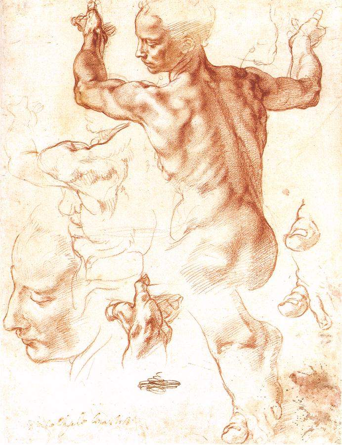 Study to The Libyan Sibyl — Микеланджело