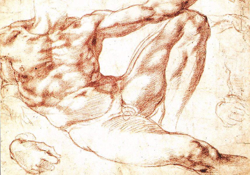 The Study of Adam — Микеланджело