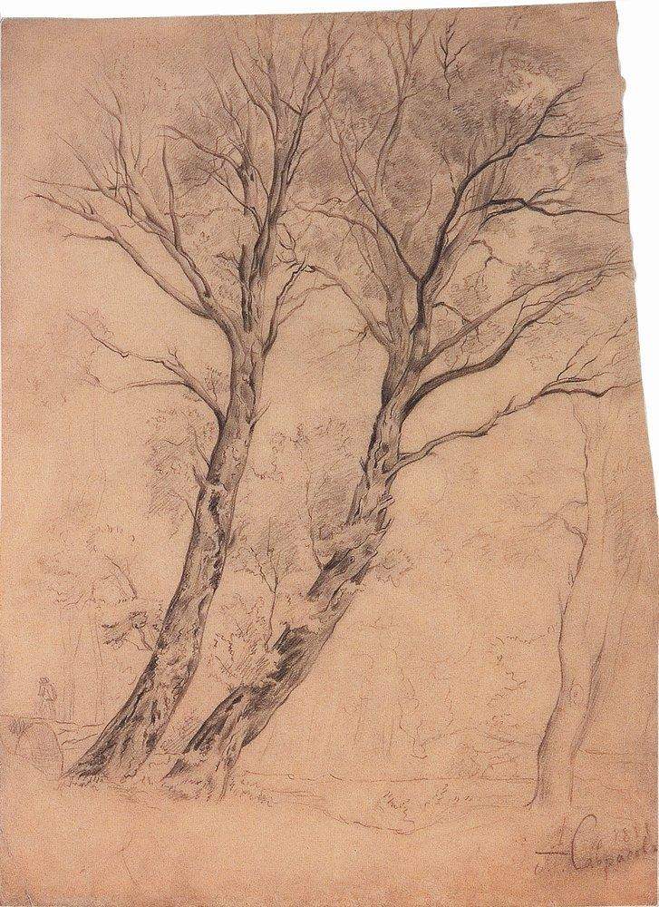 Trees — Теодор Руссо