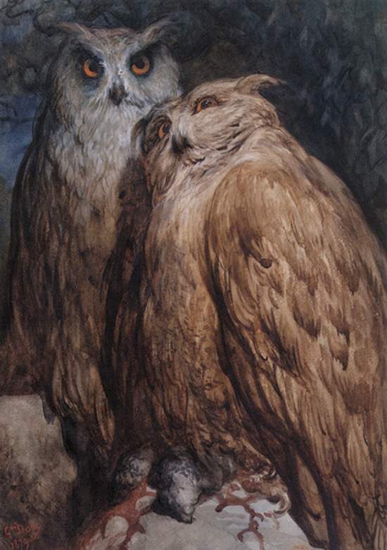 Две совы — Гюстав Доре
