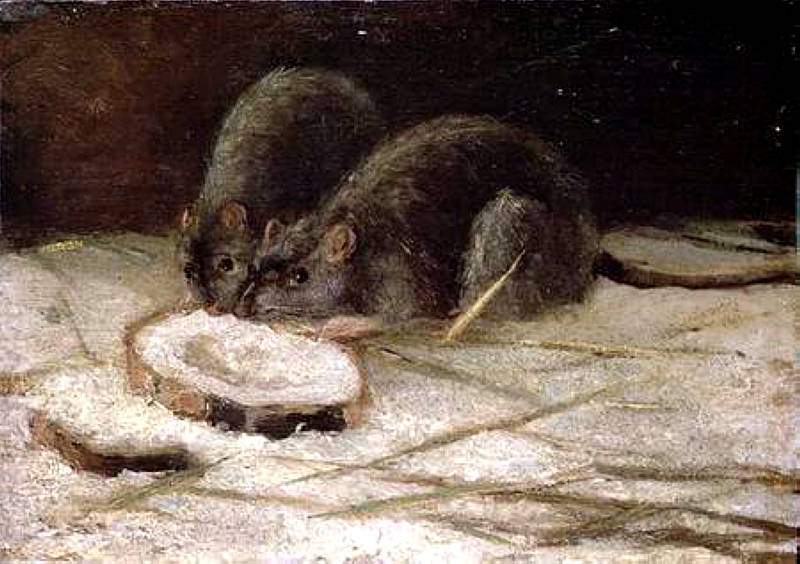 Two Rats — Винсент Ван Гог