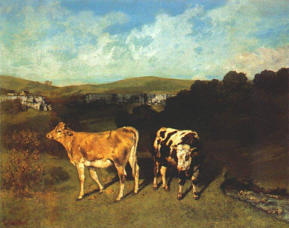 Белый бык и светлая корова — Гюстав Курбе