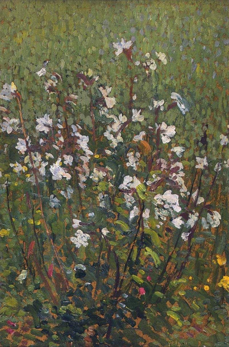 White Flowers in the Field — Анри Мартен