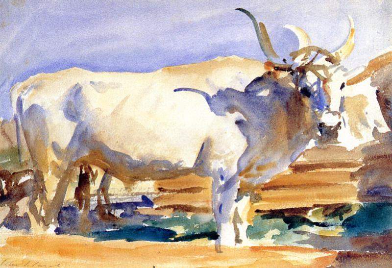 White Ox at Siena — Джон Сингер Сарджент